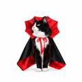 VampiPaws