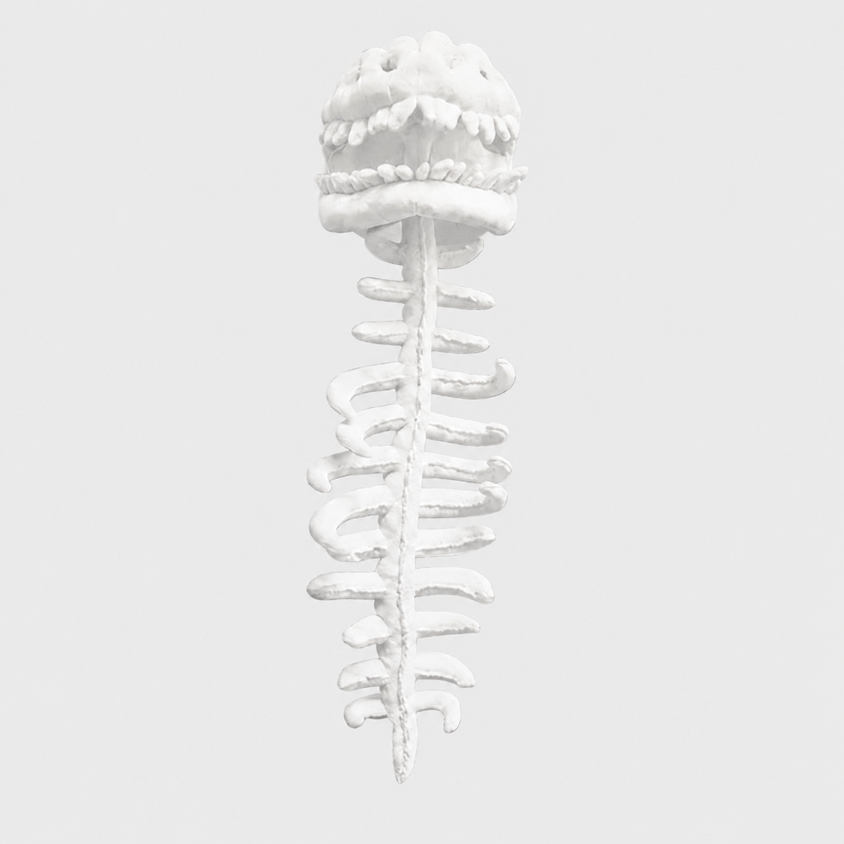 Dinosaur Skeleton Plush Costume