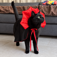 VampiPaws