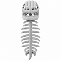 Dinosaur Skeleton Plush Costume